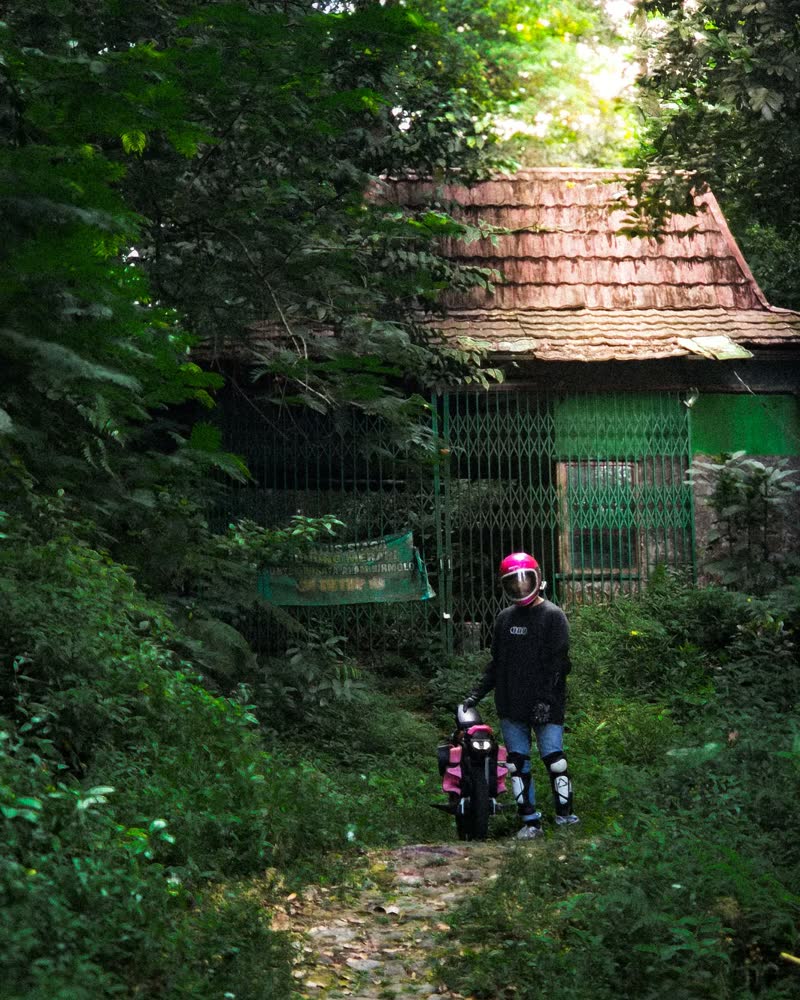 Rider in dense greenery outside an old house at dusk