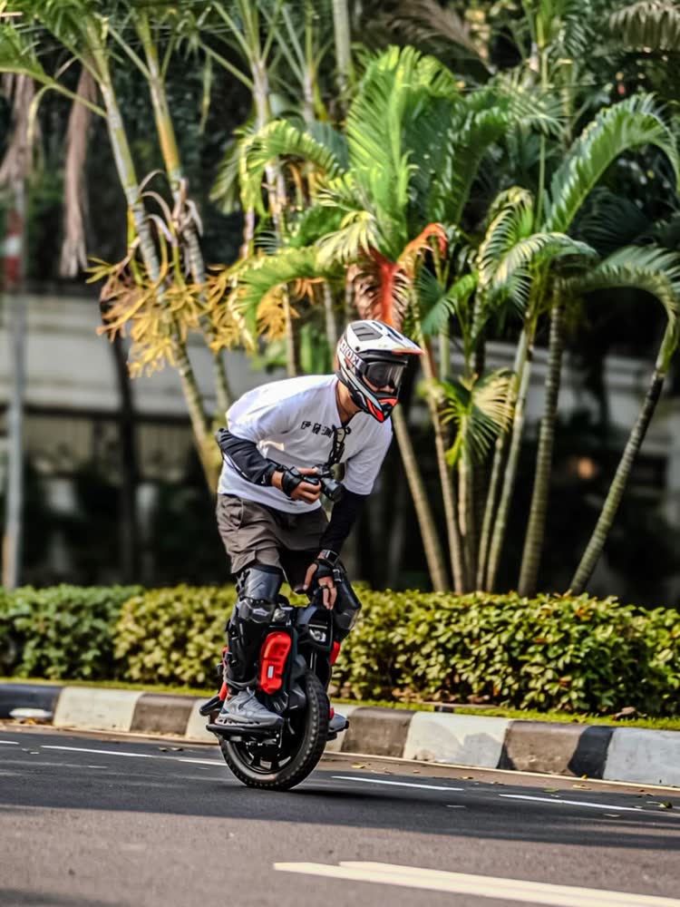 Rider on an empty street lined with palms